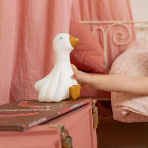 Night LED Lamp - Little Goose