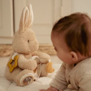Activity Cuddle Toy - Baby Bunny