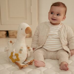 Activity Cuddle Toy - Little Goose