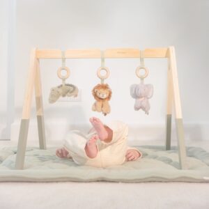 Drvena Gimnastika Za Bebe - Safari Friends