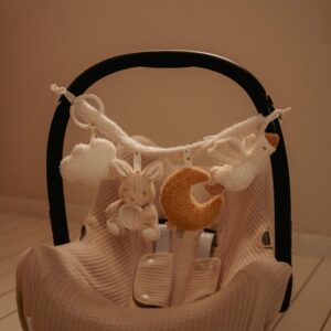 Visilica Za Kola - Newborn Naturals